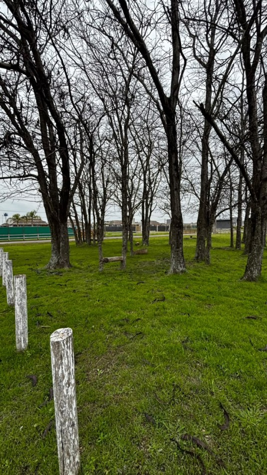 LOTE EN RODRIGUEZ "HARAS EL TERRAPLEN"
